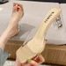 Women's Summer Slip-on 2025 New Model Square Toe Crystal Chunky Heel Transparent Sexy High-heeled Sandals For Women_vogvips.com