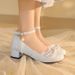 New Chinese-style Retro High-heeled Traditional Chinese Fashion Hanfu Ancient-style Cheongsam Shoes, Mary Jane Shoes_vogvips.com