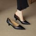 French Style Small Cat Pointed Toe Red Single Shoes For Women 2025 Spring And Autumn Season Elegant Black Commuting Thin_vogvips.com