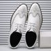 TerraStride 2025 New Men's Leather Business Casual Brogue Trendy Shoes Formal Office Outdoor Sandals Hollow Breathable_vogvips.com
