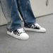 In Stock, 2025 New Model Numeris Casual Men's Shoes, Flat-Soled, Low-Cut, Lace-Up, Classic Versatile Skateboard Sneakers_vogvips.com