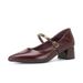 French Retro-style Brown High-heeled For Women, With Chunky Heels That Don't Tire The Feet, Small Gold Bar Buckle_vogvips.com