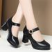 Elegant Chun Heel Work Pumps – Slip-Resistant Platform Mary Jane Shoes For Women (Black, 7cm Heel)_vogvips.com