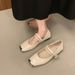 French Metal Square Head Shallow Mouth Single Shoes Women's Retro Word With Mary Jane Soft-soled Small Leather Shoes_vogvips.com