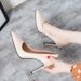 High Heel For Women 2021 New Black Veratile French Style Freh Thin Sexy Mid Heel Profeional Pointed Toe Single_vogvips.com