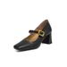 Frch-style Mary Jane Shallow High-heeled Wom, New Spring And Autumn Vintage Chunky Heel Elegant Single Shoes For_vogvips.com