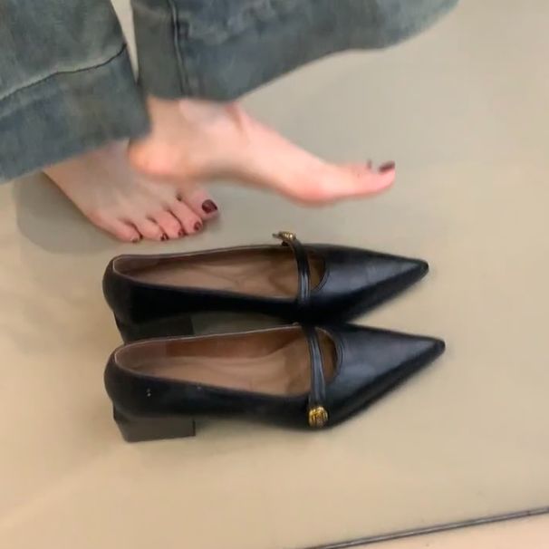 French Retro Camellia Thick Heel Single Shoes Women's Pointed Versatile Temperament Shallow Mouth Mary Jane Shoes_vogvips.com