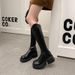 V-Neck Slim 2024 Autumn Winter New Over-the-Knee Long For Women Simple Versatile Thick-Soled Riding Boots_vogvips.com