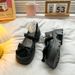 Round Toe Thick Heel Mary Jane 2025 New French Bow Small Leather Women's Single Shoes_vogvips.com
