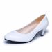 Plu-ize 2026 New Model Pointed Toe Hallow Mouth All-eaon Fahionable Chunky High-heeled Women' Plu-ize Work_vogvips.com