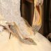 Wedding Dual-use Xiuhe Bridal Crystal Shoes, Champagne-colored High Heels Women, Comfortable For The Feet, With_vogvips.com