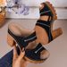 Cross-border Summer New Hollow Thick Heel Thick Sole Women's Metal Buckle Retro Style Daily Street Niche Design Women's Sandals_vogvips.com