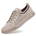 Straight New Casual Breathable Mesh Sports Thin Version, One Foot, Versatile Student Board Shoes, Men's Shoes_vogvips.com