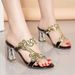 2026 Summer New High-Heeled Rhinestone Sandals Women, European And American Sexy Fashion Crystal Chunky Heel_vogvips.com