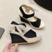 New Long Ter Woen's Sandals With Slope Heel Lace Fish Mouth Feale Velcro One Line Buckle And Elastic Cake Thick_vogvips.com