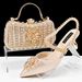 Women’s Shoes Fashionable and sexy women's shoe and bag set Diamond buckle flower decoration Ankle diamond chain with hard clutch bag_vogvips.com