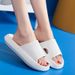 Women Thick Platform Cloud Slippers Summer Beach Eva Soft Sole Slide Sandals Leisure Men Ladies Indoor Bathroom Anti-slip Shoes_vogvips.com