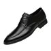 Dress Leather Shoes Men's Pointed Head Lace-up Men's Wedding Leather Shoes Men's Shoes_vogvips.com