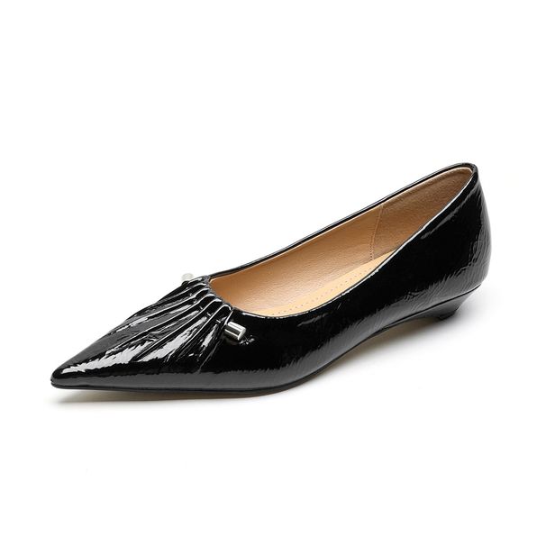 Pointed Single Shoes Women's Low Heel Shallow Mouth Niche Pleated Ladyshoes Temperament Shallow Mouth Commuting Women's Shoes_vogvips.com