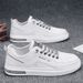 Summer New Breathable Thin Hollow Mesh Men's And Versatile Small White Casual Board Shoes, Trendy Shoes_vogvips.com