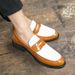 Cross-border Large Size 2022 Spring Black and White Colorblock Leather Shoes Men's Shoes Slip-on Loafers Korean Fashionable Business Shoes_vogvips.com