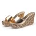 Women's Platform Slide Sandals - Chunky High Heel Open-Toe Slippers For Summer (Silver/Gold)_vogvips.com