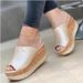 Women's Shoes Wedge Heels Platform Women's Slippers_vogvips.com