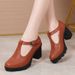 Cross-border Chunky Heel High-heeled Shoes For Women, Mary Jane Large Size Women's Shoes, Wedge Heel, Waterproof_vogvips.com