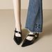 Pointed Single Shoes Women's Thick Heel With Shallow Mouth Mary Jane Shoes French Temperament High Heels_vogvips.com