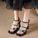 Y Niche Design Fashion Sandals For Women Mature And Sexy Open Toe Stiletto Waterproof Platform One Strap High Heels_vogvips.com