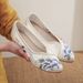 Women’s Shoes Spring New Elegant Ancient Style Pointed Toe Women's Shoes Old Mid Heel Cloth Shoes All Match Cheongsam Shoes_vogvips.com