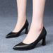 New Soft Non-Slip Single Work Women's Black Etiquette Professional Interview High Heels Mid-Heel Office Leather Shoes_vogvips.com