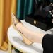 1961-17 Wind Metallic Embossed Fine Middle Heel Shallow Mouth Pointed Women's Banquet Spring And Autumn Single Shoes_vogvips.com