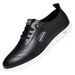 TerraStride 2025 Spring New Men's Casual Shoes Leather Soft Sole Slip-On Loafers White 1173_vogvips.com