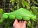 3D Textured Slippers For Men, 2026 New Summer Model, Cloud-Like Comfort, Non-Slip, Arch Support, Women's Version_vogvips.com