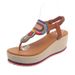 New Fashion Trend Pinched Elastic Platform Platform High Heel Comfortable Plus-size Sandals_vogvips.com