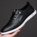TerraStride 2025 Spring New Men's Casual Shoes Leather Soft Sole Slip-On Loafers White 1173_vogvips.com
