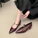 French Retro-style Brown High-heeled For Women, With Chunky Heels That Don't Tire The Feet, Small Gold Bar Buckle_vogvips.com
