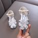Baby Girl Girl Girl Princess Diamond Single Shoe Shoes Dance Show Shoes Flowers_vogvips.com