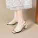 Women's Open-toe For Outdoor Wear, 2025 Summer New European And American Style, Chunky High-heeled To Pair With Dresses,_vogvips.com