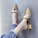 Elegant Pointed Toe mid Heel Women's Slippers Chunky Metallic Heel plus Size Closed Toe Half Slippers for Autumn_vogvips.com