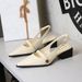 Brown Camellia Single With Thick Low Heel Rear Empty Back Strap Women S Shoes_vogvips.com