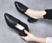 Soft-soled Pointed Single Shoes Women's Mid-heel Season Embroidered Commuter Women's Shoes Comfortable Thick-heeled Soft Leather Mother Shoes_vogvips.com