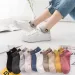 10 Pairs Women Low Tube Set Cute Bear Pattern Fashion Breathable For Female Casual Style Comfortable Socks_vogvips.com