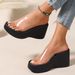 Women's European Style Wedge Sandals Size 34 Transparent Open Toe Summer New Style_vogvips.com