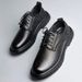 European Warm Series 2025 New Winter Fleece Lined Formal Business Casual Double Cotton Soft Sole Leather Men's Warm Shoes_vogvips.com