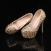 Women's Shoes autumn new 14cm high heel ladies rhinestone banquet wedding shoes_vogvips.com