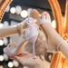 Nude High-heeled Shoes Waterproof Platform Stiletto Heel, 2025 New Model With Crystal Bow And Single Strap, Fairy Style_vogvips.com