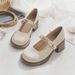 Mary Jane Leather For Women 2025 Spring Summer New Trendy High With Chunky Heels And Shallow Mouth Fairy Style Single_vogvips.com