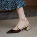 2024 New Spring Summer French Style Simple High Heels Pointed Studded Chunky Heel Shallow Mouth Closed Toe Mary Jane_vogvips.com